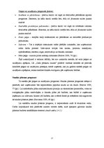 Diplomdarbs 'Reklāmas aģentūras SIA "Join" izveides plāns', 27.