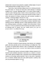 Diplomdarbs 'Reklāmas aģentūras SIA "Join" izveides plāns', 29.