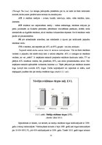 Diplomdarbs 'Reklāmas aģentūras SIA "Join" izveides plāns', 32.
