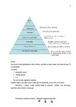 Konspekts 'Temperamenti', 4.