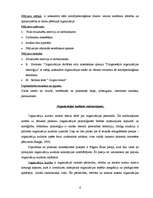 Referāts 'Sociālpsiholoģisko faktoru izpēte privātā biznesa organizācijā', 6.