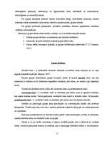 Referāts 'Sociālpsiholoģisko faktoru izpēte privātā biznesa organizācijā', 17.