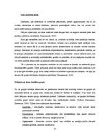 Referāts 'Sociālpsiholoģisko faktoru izpēte privātā biznesa organizācijā', 23.