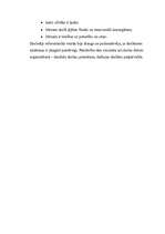 Referāts 'Vēsturiskais skatījums uz bērnību', 11.