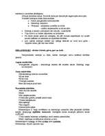 Referāts 'Personības attīstības un socioloģijas process', 13.