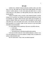 Referāts 'Kultūras pasākumu organizēšana pašvaldības aģentūrā', 4.