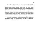 Referāts 'Kultūras pasākumu organizēšana pašvaldības aģentūrā', 14.