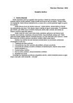 Konspekts 'Romiešu tiesību īss pārskats', 1.