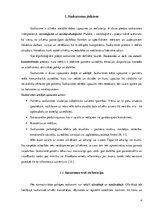 Referāts 'Dažu saskarsmes elementu nozīme personības attīstībā', 3.