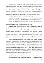 Referāts 'Dažu saskarsmes elementu nozīme personības attīstībā', 16.