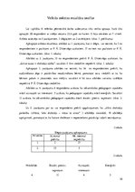 Referāts 'F.Ā.Dīstervēga pedagoģiskā darbība un ideju pielietojums sākumskolā', 10.