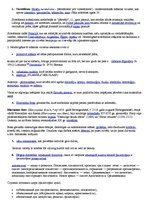 Prezentācija 'Sirreālisms', 21.