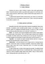 Referāts 'Kafija un tās popularitāte jauniešu vidū Latvijā', 7.