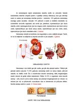 Referāts 'Nierakmeņi un oskilāti', 3.