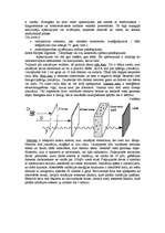 Referāts 'Radioaktīvais piesārņojums', 6.