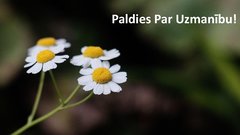 Prezentācija 'Darba vides faktori -  manā darba vietā', 8.