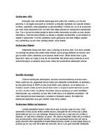 Eseja 'Mans saskarsmes stils', 2.