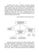 Referāts 'Uzņēmējdarbības būtība un nozīme tautsaimniecībā', 6.