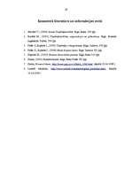 Referāts 'Uzņēmējdarbības būtība un nozīme tautsaimniecībā', 29.