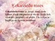 Prezentācija 'Latvijas rožu selekcija', 10.