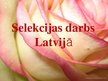 Prezentācija 'Latvijas rožu selekcija', 16.