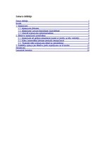 Referāts 'Efektīvs preces iesaiņojums', 1.