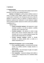 Referāts 'Efektīvs preces iesaiņojums', 3.