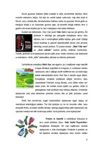 Referāts 'Efektīvs preces iesaiņojums', 9.