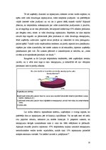 Referāts 'Efektīvs preces iesaiņojums', 16.