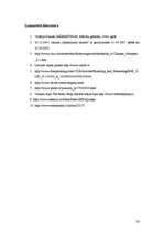 Referāts 'Efektīvs preces iesaiņojums', 20.