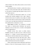 Konspekts 'Krāsas', 2.