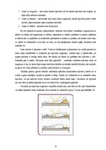 Referāts 'Biežāk sastopamās mugurkaula novirzes un deformācijas, to agrīna profilakse', 17.