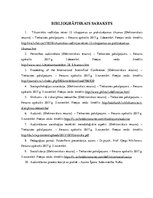 Referāts 'Audzināšanas ideāls. Personības attīstība socializācijas procesā', 13.