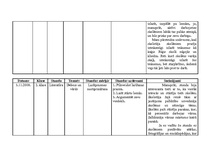 Konspekts 'Prakses materiāls', 5.