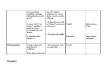 Konspekts 'Prakses materiāls', 27.