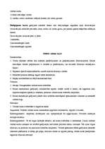 Konspekts 'Valūtas kurss', 2.