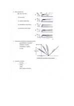 Referāts 'Piesārņojošo vielu izkliede atmosfērā un to ietekmējošo faktoru novērtēšana', 16.