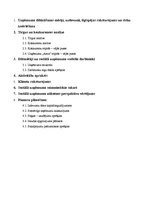 Biznesa plāns 'Sociālais aprūpes pakalpojumu centrs "Astra"', 2.