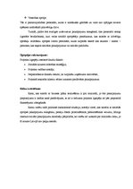 Biznesa plāns 'Sociālais aprūpes pakalpojumu centrs "Astra"', 4.