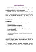 Biznesa plāns 'Sociālais aprūpes pakalpojumu centrs "Astra"', 10.