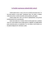 Biznesa plāns 'Sociālais aprūpes pakalpojumu centrs "Astra"', 11.