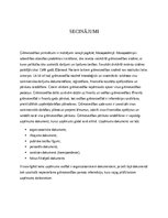 Referāts 'Uzņēmuma grāmatvedības iekšējie organizācijas dokumenti', 12.