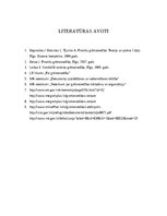 Referāts 'Uzņēmuma grāmatvedības iekšējie organizācijas dokumenti', 13.