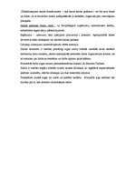 Prakses atskaite 'Biroja vadītāja - referenta kvalifikācijas prakse', 7.