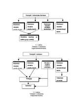 Prakses atskaite 'Biroja vadītāja - referenta kvalifikācijas prakse', 10.