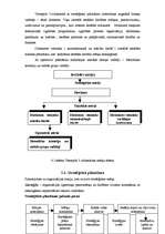 Prakses atskaite 'Biroja vadītāja - referenta kvalifikācijas prakse', 24.