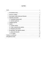 Referāts 'SIA dibināšana', 1.