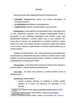 Referāts 'SIA dibināšana', 2.