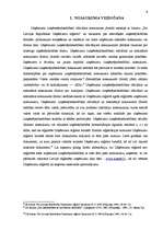 Referāts 'SIA dibināšana', 6.