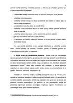 Referāts 'SIA dibināšana', 10.